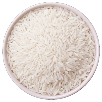 Gemini_Generated_Image_iyoicliyoicliyoi